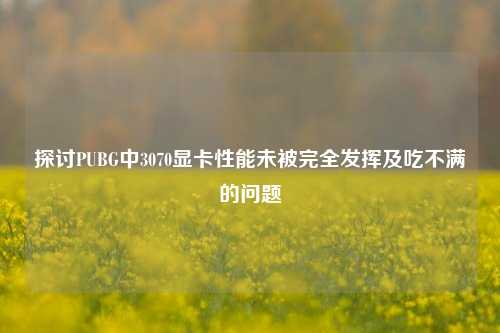 探讨PUBG中3070显卡性能未被完全发挥及吃不满的问题