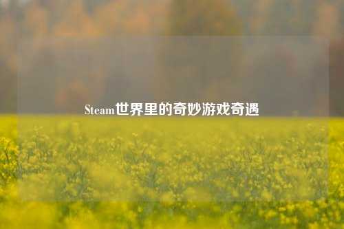 Steam世界里的奇妙游戏奇遇