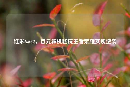 红米Note2，百元神机畅玩王者荣耀实现逆袭