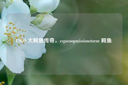 CSGO 大鳄鱼传奇，csgocoopmissionstorm 鳄鱼