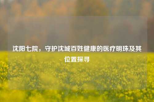 沈阳七院，守护沈城百姓健康的医疗明珠及其位置探寻