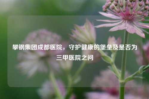 攀钢集团成都医院,守护健康的堡垒及是否为三甲医院之问