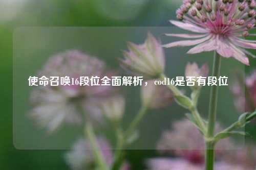 使命召唤16段位全面解析,cod16是否有段位