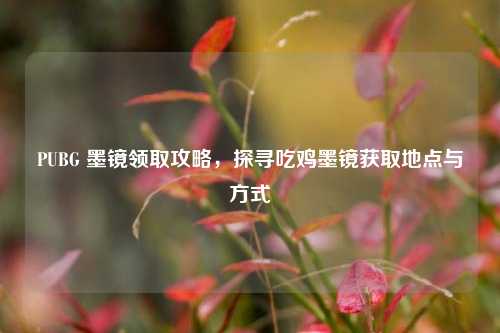 PUBG 墨镜领取攻略,探寻吃鸡墨镜获取地点与方式