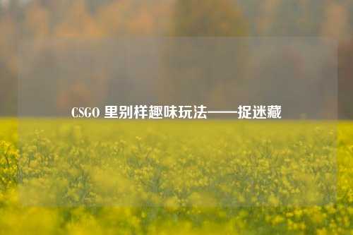 CSGO 里别样趣味玩法——捉迷藏