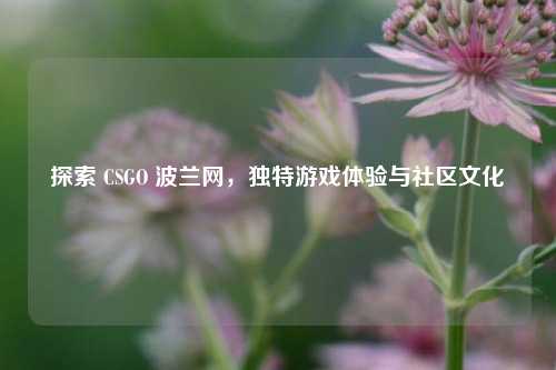 探索 CSGO 波兰网，独特游戏体验与社区文化