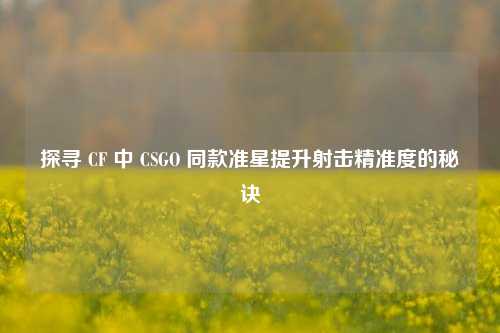 探寻 CF 中 CSGO 同款准星提升射击精准度的秘诀