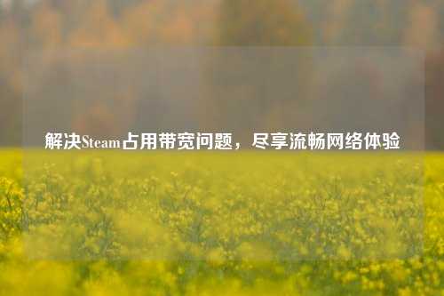 解决Steam占用带宽问题,尽享流畅 *** 体验