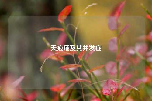 天疱疮及其并发症