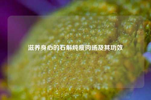 滋养身心的石斛炖瘦肉汤及其功效