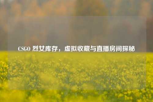 CSGO 烈女库存,虚拟收藏与直播房间探秘