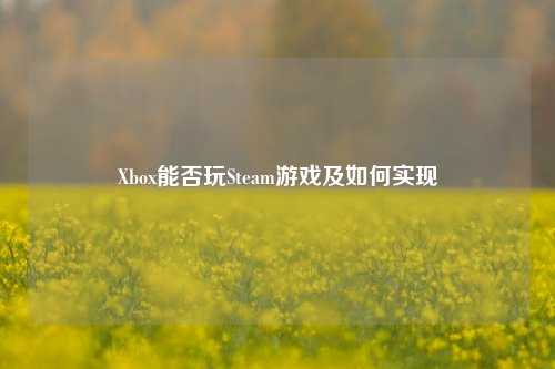 Xbox能否玩Steam游戏及如何实现