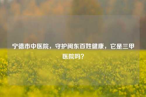 宁德市中医院，守护闽东百姓健康，它是三甲医院吗？