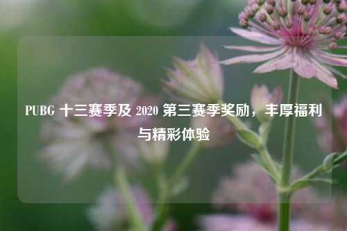 PUBG 十三赛季及 2020 第三赛季奖励,丰厚福利与精彩体验