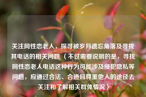 关注同性恋老人,探寻被岁月遗忘角落及寻找其 *** 的相关问题 (不过需要说明的是,寻找同性恋老人 *** 这种行为可能涉及侵犯隐私等问题,应通过合法、合适且尊重他人的途径去关注和了解相关群体情况)