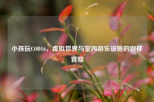 小孩玩COD16，虚拟世界与室内游乐设施的别样冒险