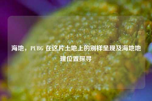 海地，PUBG 在这片土地上的别样呈现及海地地理位置探寻