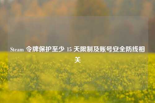 Steam 令牌保护至少 15 天限制及账号安全防线相关
