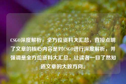CSGO深度解析，全方位资料大汇总，直接点明了文章的核心内容是对CSGO进行深度解析，并强调是全方位资料大汇总，让读者一目了然知道文章的大致方向。
