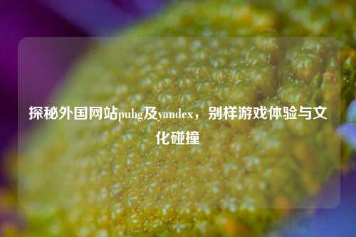 探秘外国网站pubg及yandex，别样游戏体验与文化碰撞