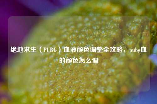 绝地求生(PUBG)血液颜色调整全攻略,pubg血的颜色怎么调