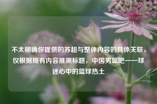 不太明确你提供的苏超与整体内容的具体关联,仅根据现有内容推测标题,中国男篮吧——球迷心中的篮球热土