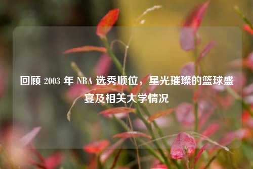 回顾 2003 年 NBA 选秀顺位,星光璀璨的篮球盛宴及相关大学情况