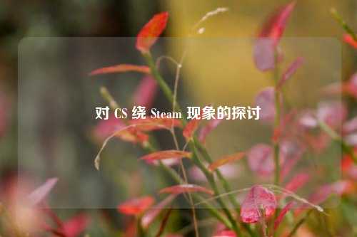 对 CS 绕 Steam 现象的探讨