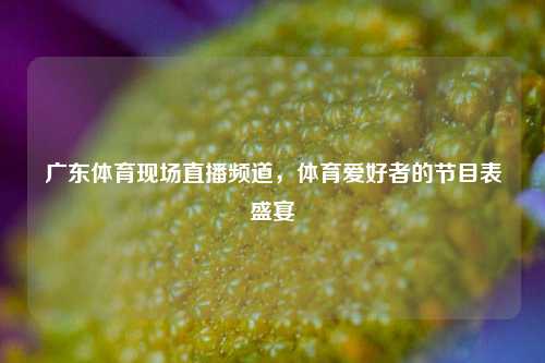 广东体育现场直播频道,体育爱好者的节目表盛宴
