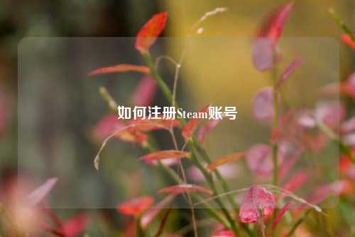 如何注册Steam账号