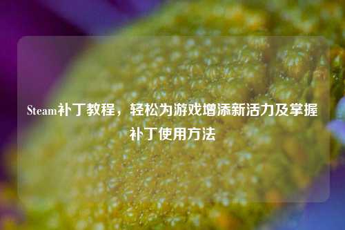 Steam补丁教程,轻松为游戏增添新活力及掌握补丁使用 ***
