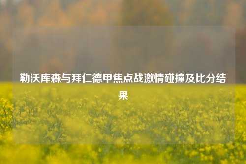 勒沃库森与拜仁德甲焦点战***碰撞及比分结果