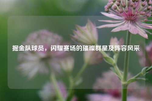 掘金队球员,闪耀赛场的璀璨群星及阵容风采