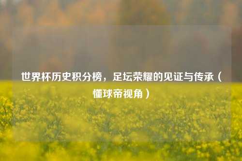 世界杯历史积分榜,足坛荣耀的见证与传承(懂球帝视角)