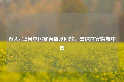 湖人vs篮网中国赛直播及回放,篮球盛宴燃爆中国
