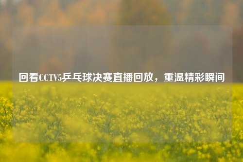回看CCTV5乒乓球决赛直播回放，重温精彩瞬间