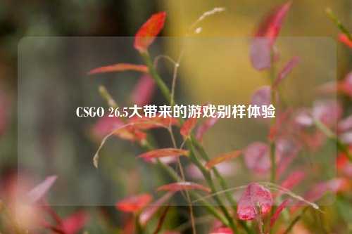 CSGO 26.5大带来的游戏别样体验