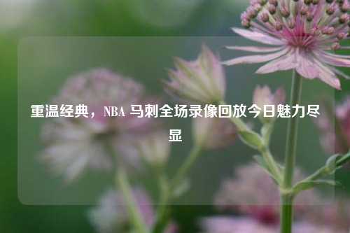 重温经典,NBA 马刺全场录像回放今日魅力尽显