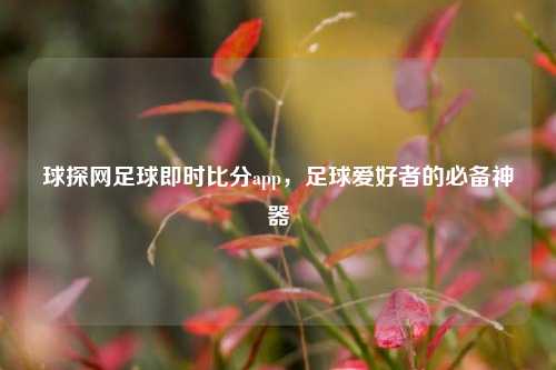 球探网足球即时比分app,足球爱好者的必备神器