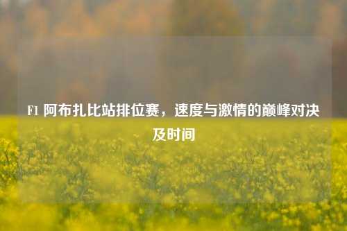 F1 阿布扎比站排位赛,速度与***的巅峰对决及时间