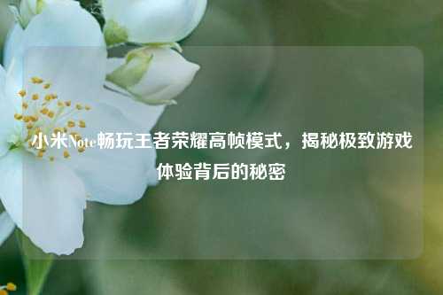 小米Note畅玩王者荣耀高帧模式，揭秘极致游戏体验背后的秘密