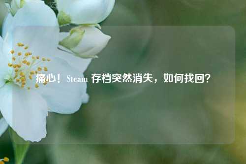 痛心!Steam 存档突然消失,如何找回?
