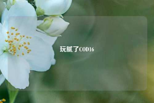 玩腻了COD16