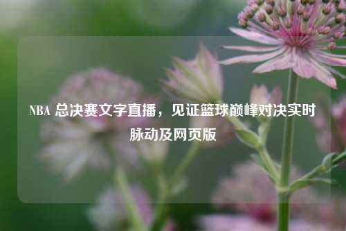 NBA 总决赛文字直播,见证篮球巅峰对决实时脉动及网页版