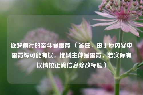 逐梦前行的奋斗者雷霞 （备注，由于原内容中雷霞辉可能有误，推测主体是雷霞，若实际有误请按正确信息修改标题）