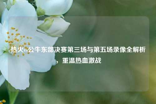 热火vs公牛东部决赛第三场与第五场录像全解析,重温热血激战