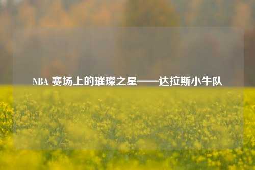 NBA 赛场上的璀璨之星——达拉斯小牛队