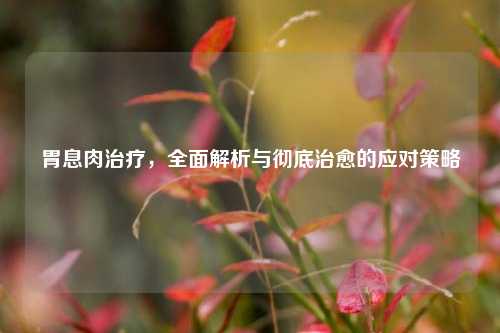 胃息肉治疗,全面解析与彻底治愈的应对策略