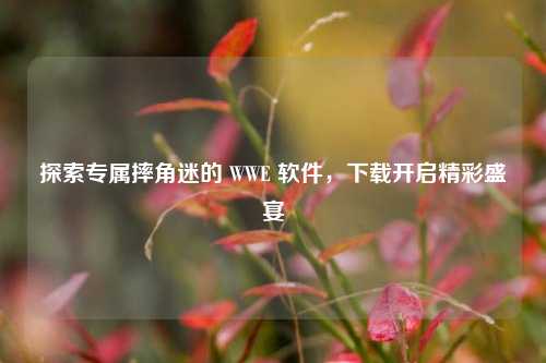 探索专属摔角迷的 WWE 软件,下载开启精彩盛宴