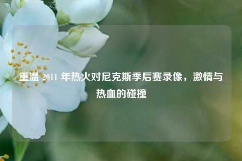 重温 2011 年热火对尼克斯季后赛录像，***与热血的碰撞